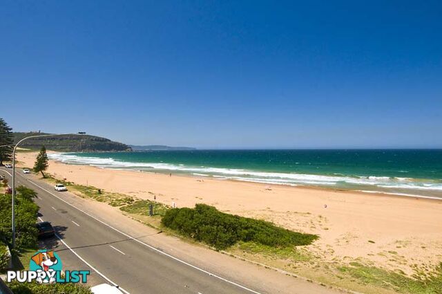 9 Ocean Road PALM BEACH NSW 2108