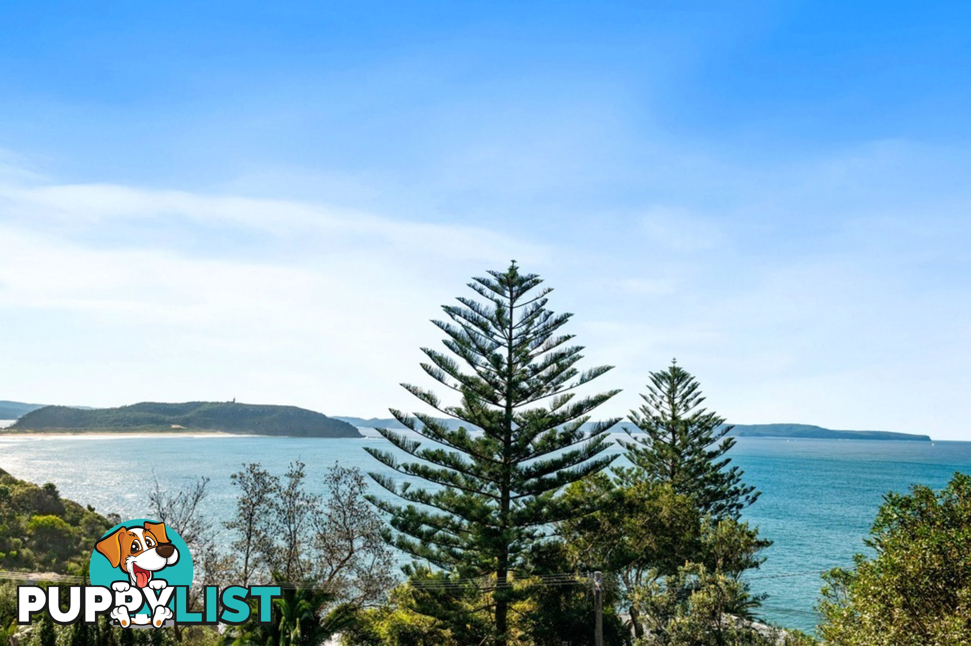 308 Whale Beach Road PALM BEACH NSW 2108