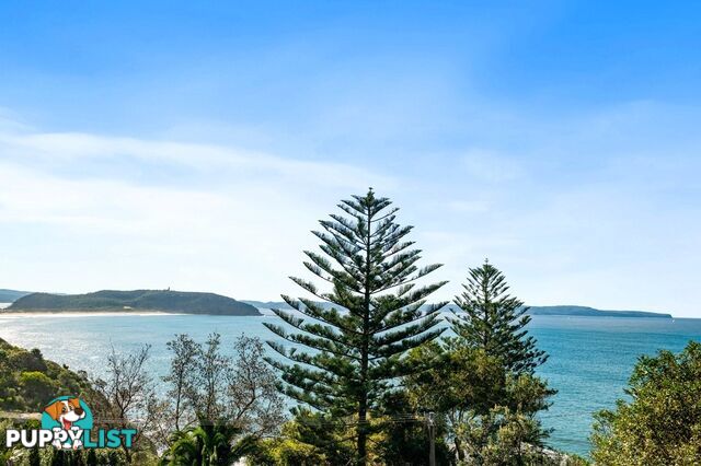 308 Whale Beach Road PALM BEACH NSW 2108