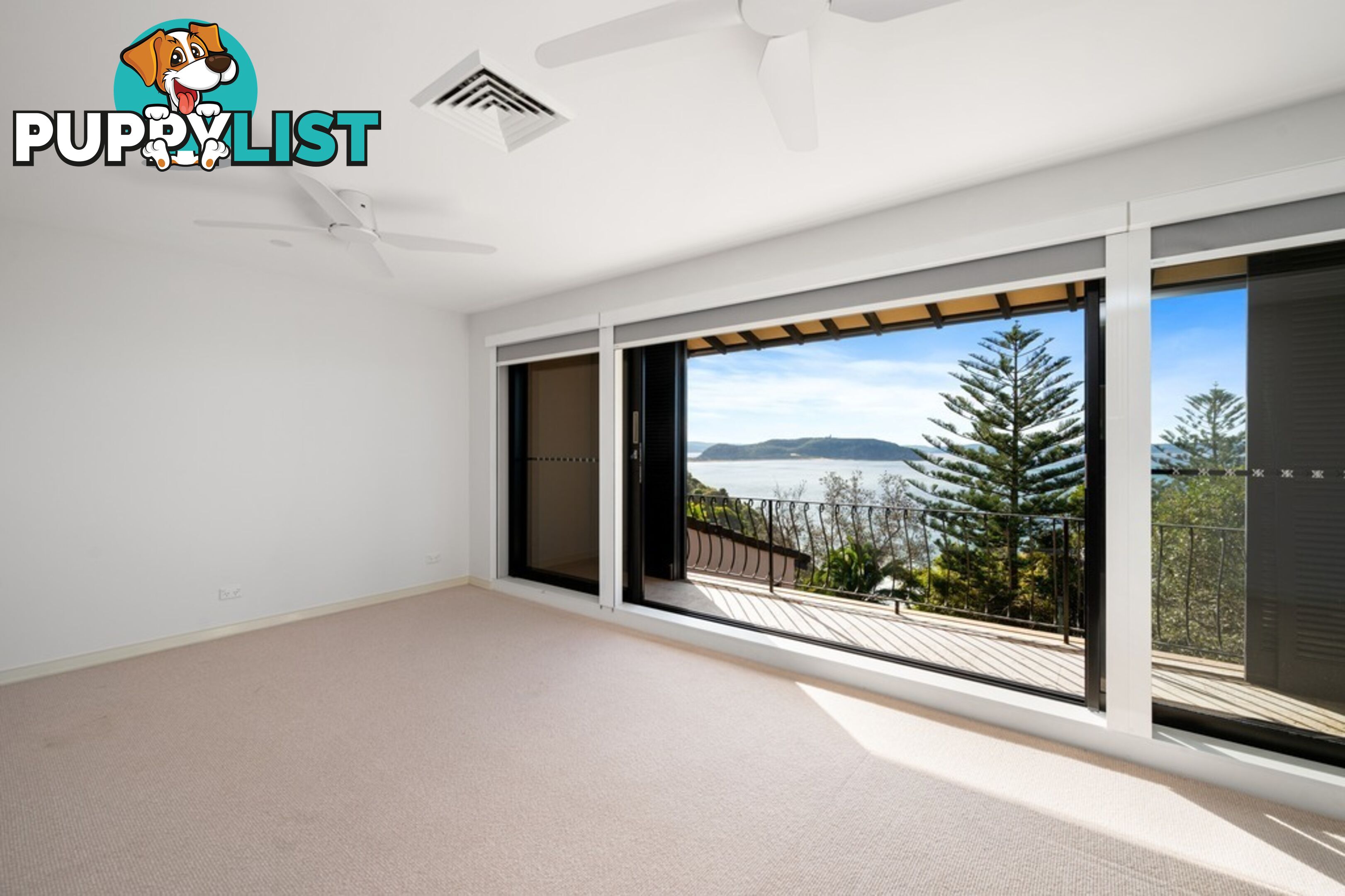 308 Whale Beach Road PALM BEACH NSW 2108