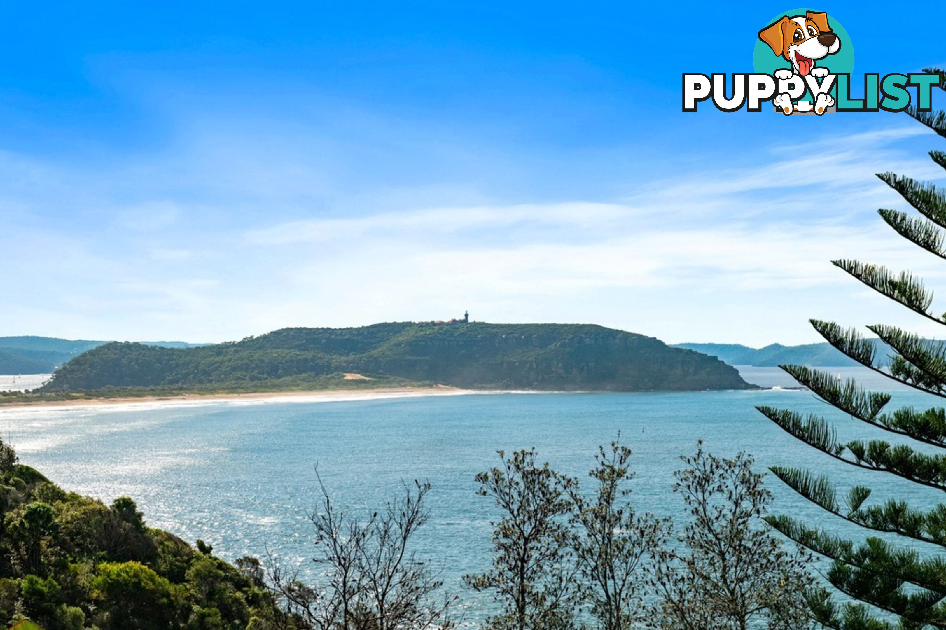 308 Whale Beach Road PALM BEACH NSW 2108