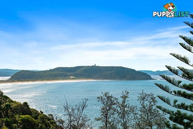 308 Whale Beach Road PALM BEACH NSW 2108