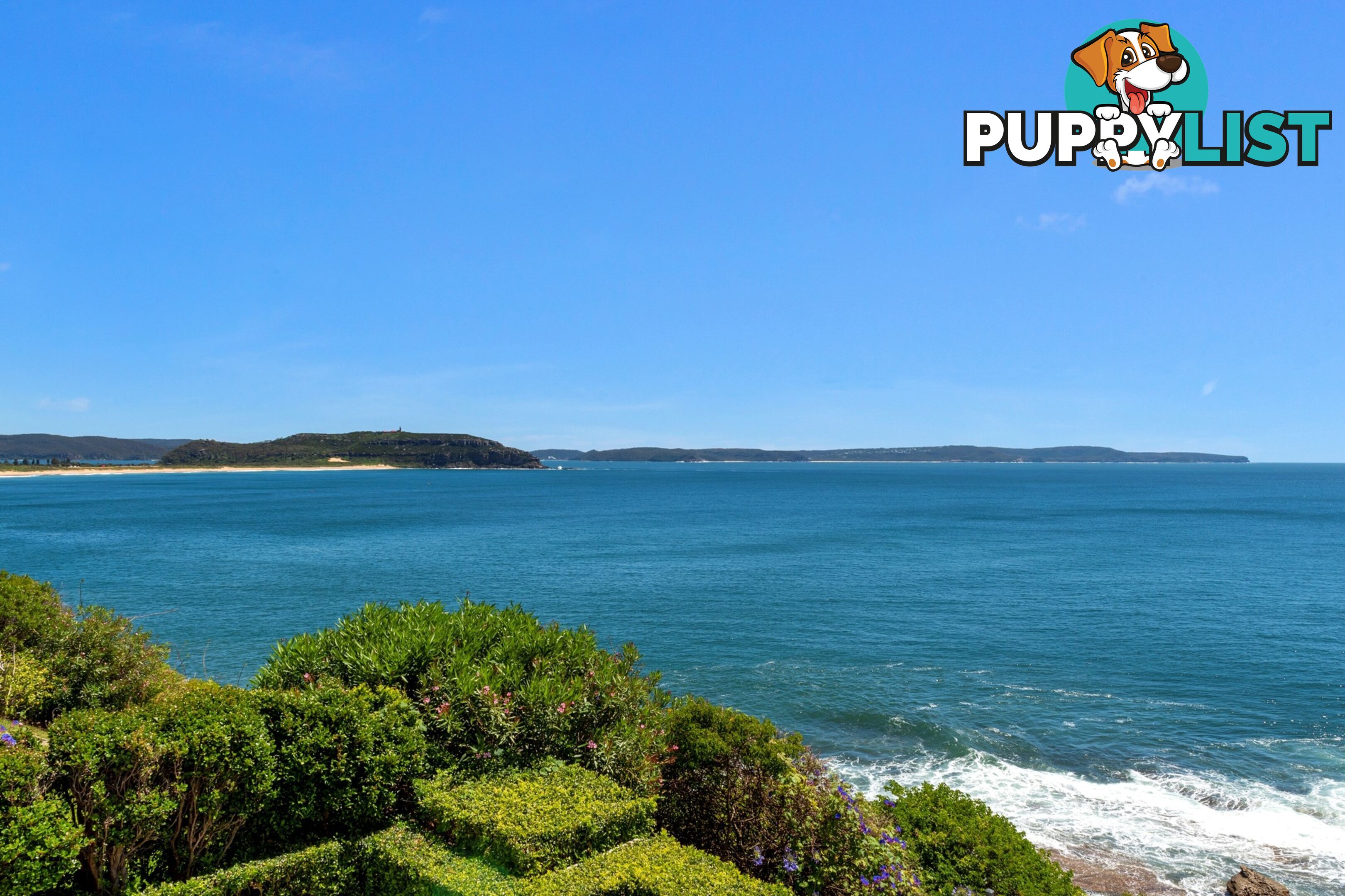 333 Whale Beach Road PALM BEACH NSW 2108