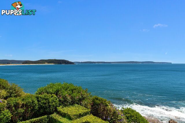 333 Whale Beach Road PALM BEACH NSW 2108