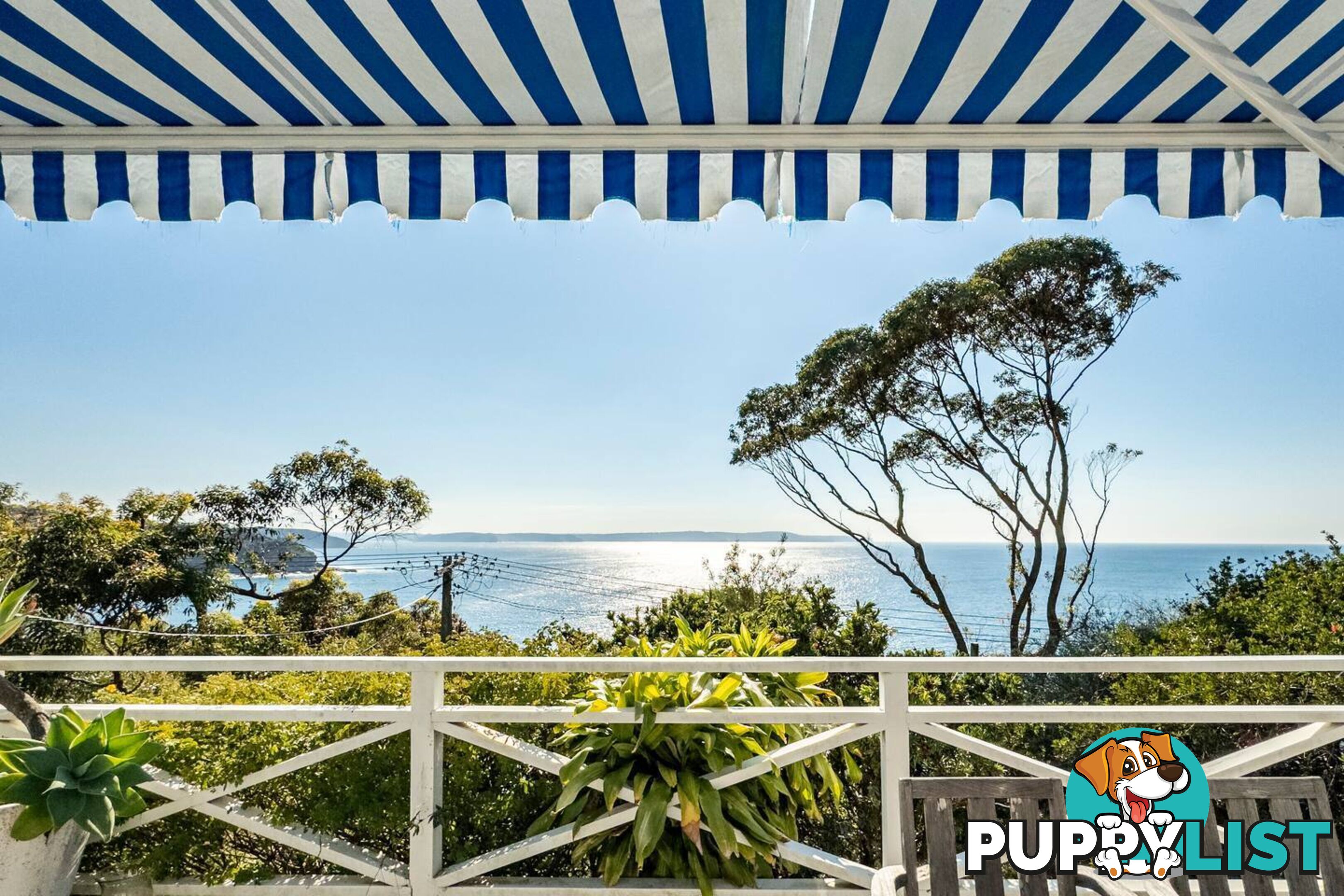 17 Rayner Road WHALE BEACH NSW 2107