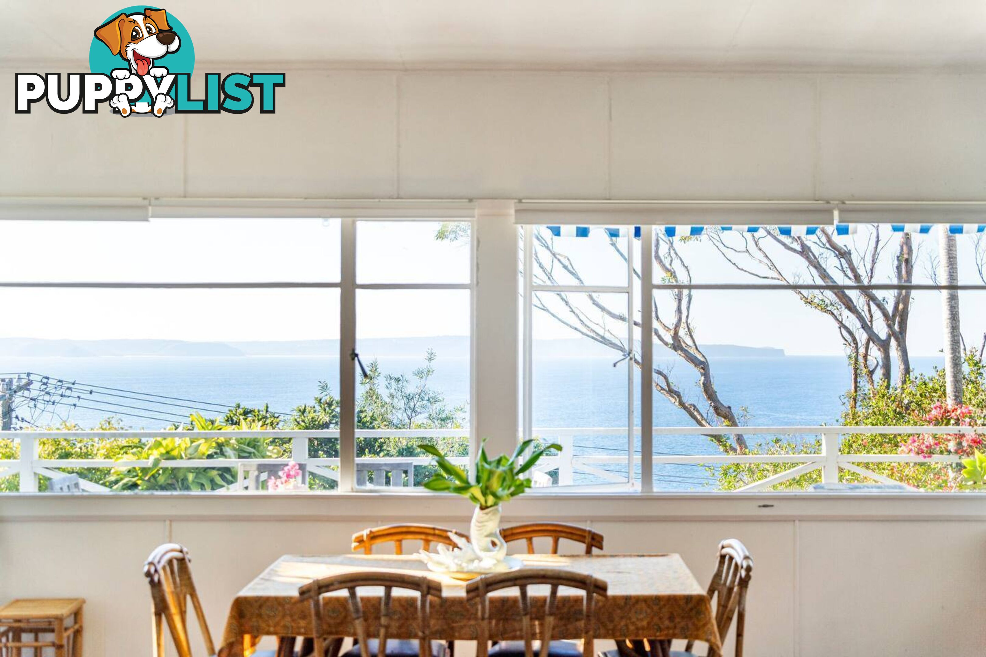 17 Rayner Road WHALE BEACH NSW 2107
