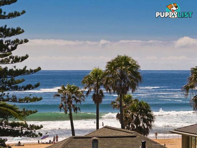 PALM BEACH NSW 2108