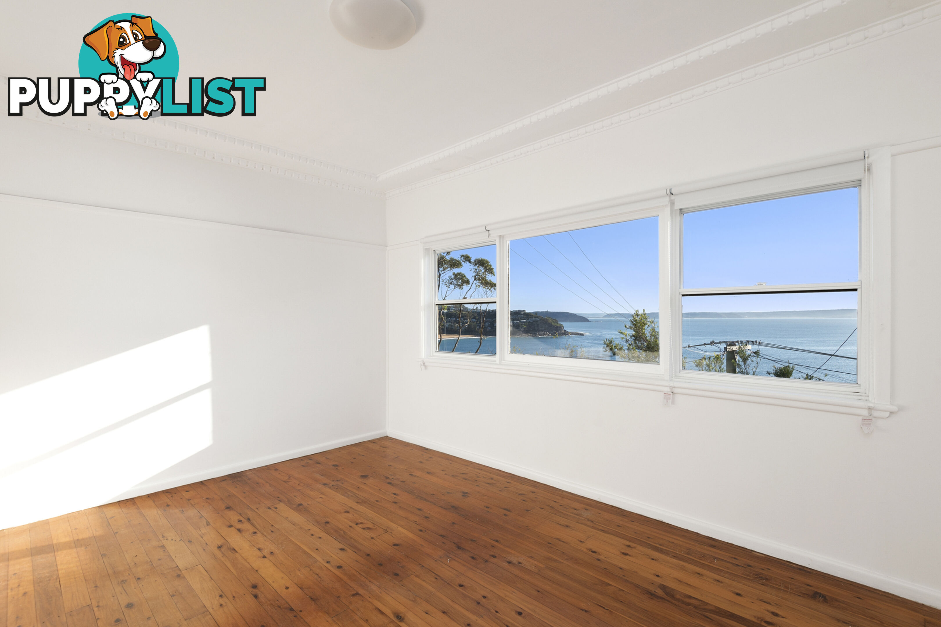 21 Rayner Road WHALE BEACH NSW 2107