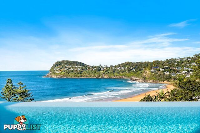 246 Whale Beach Road WHALE BEACH NSW 2107