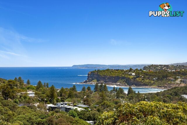 105 Whale Beach Road WHALE BEACH NSW 2107