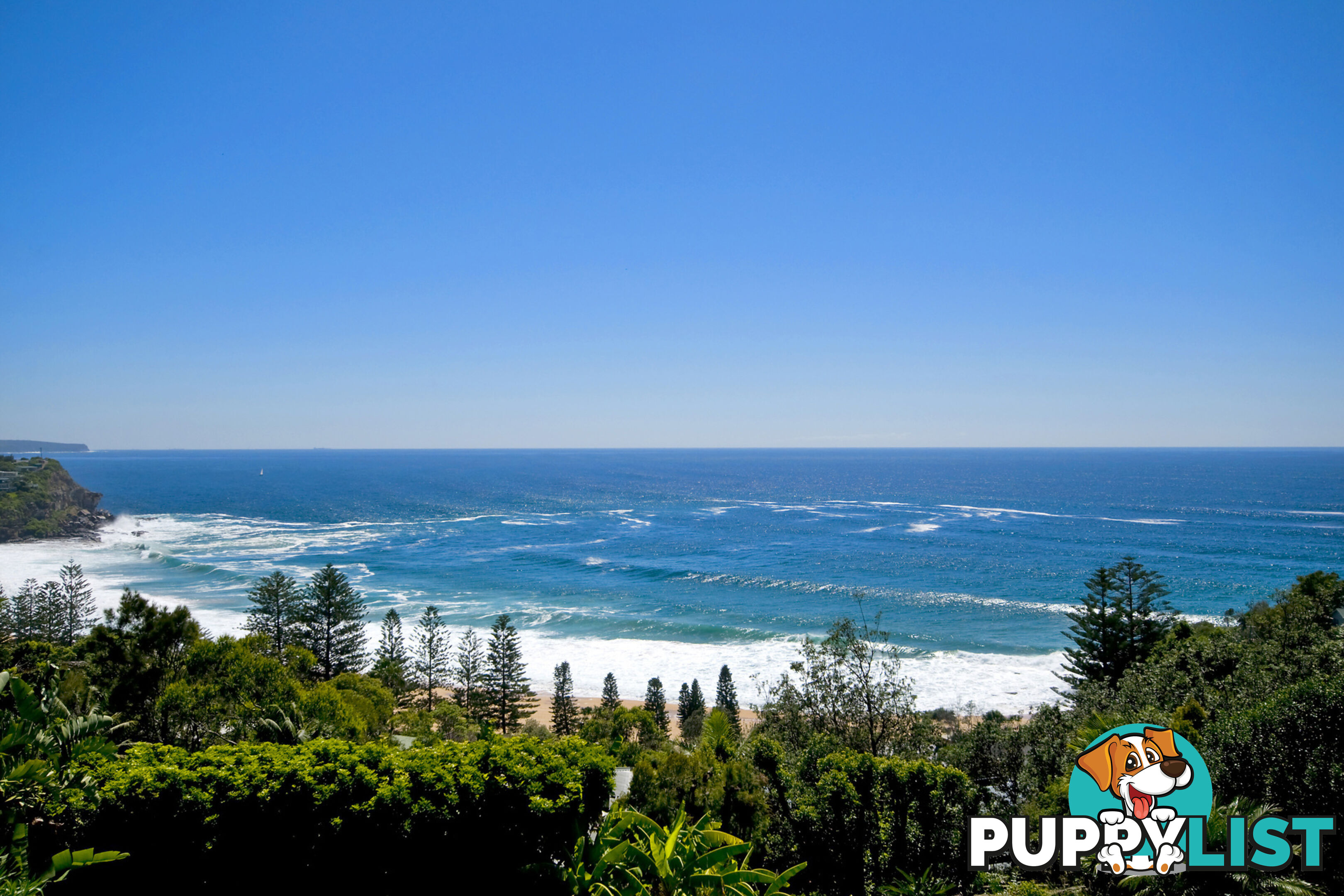 6C Surf Road WHALE BEACH NSW 2107