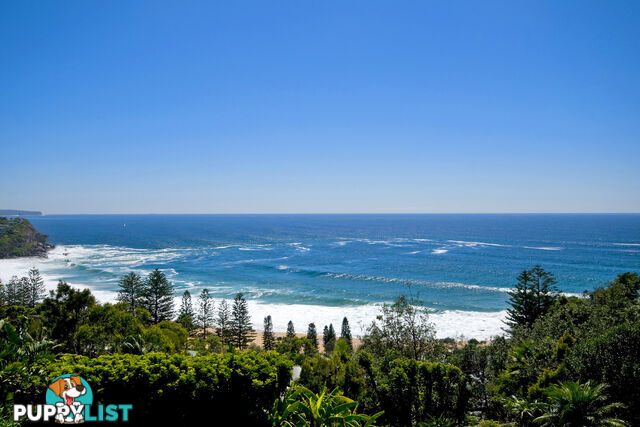 6C Surf Road WHALE BEACH NSW 2107