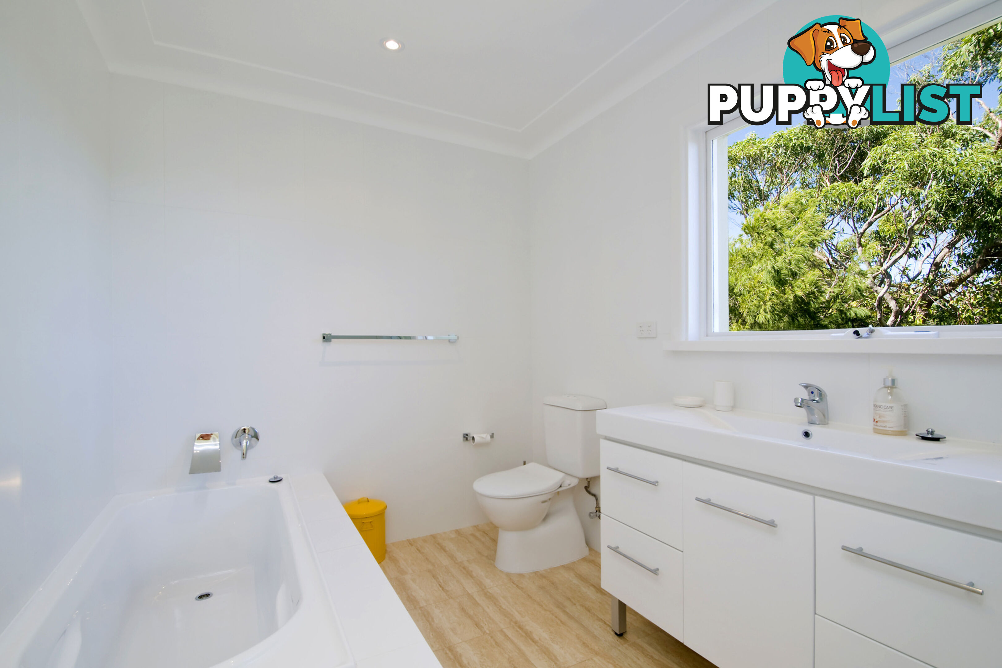 6C Surf Road WHALE BEACH NSW 2107