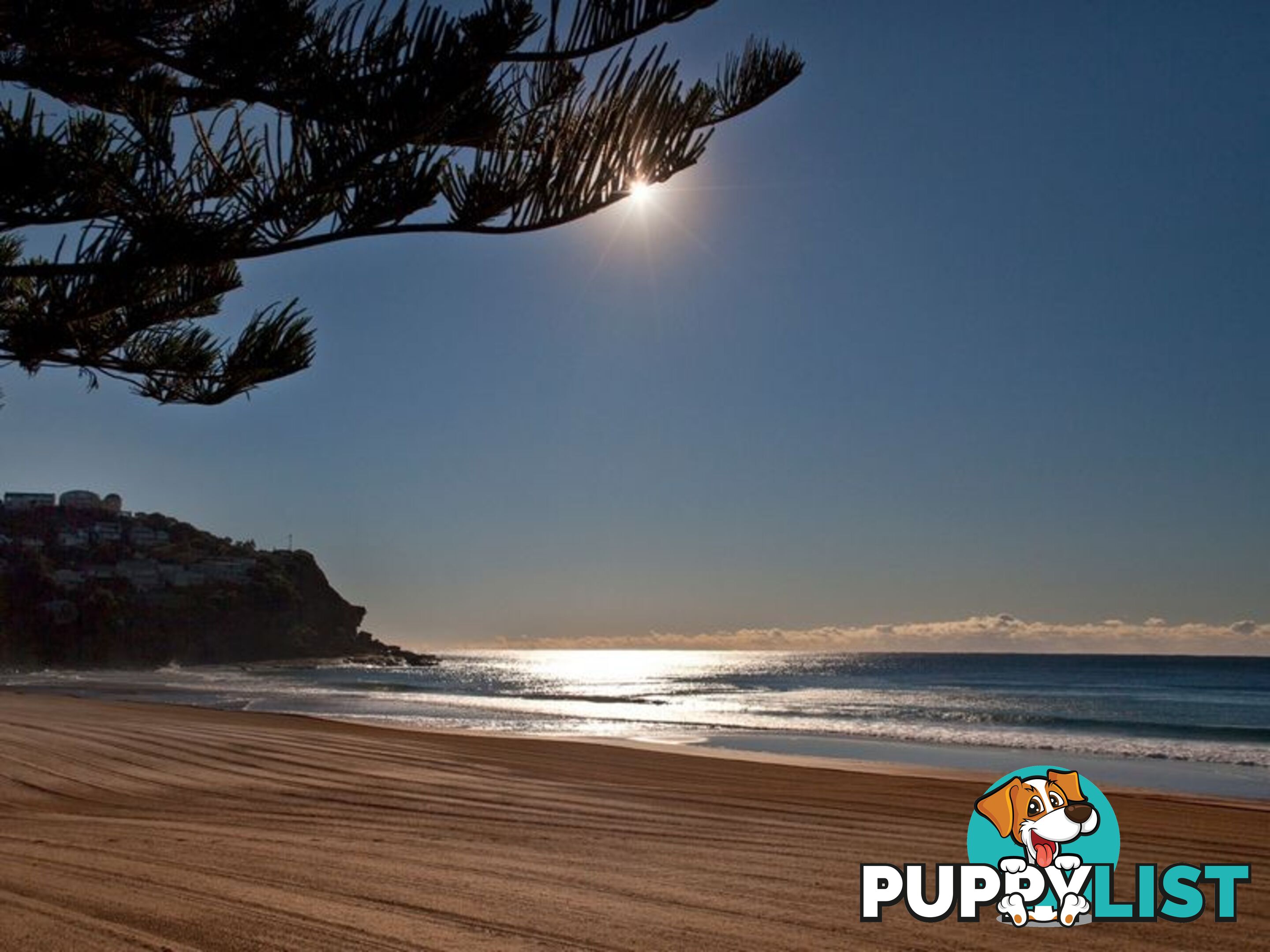 WHALE BEACH NSW 2107