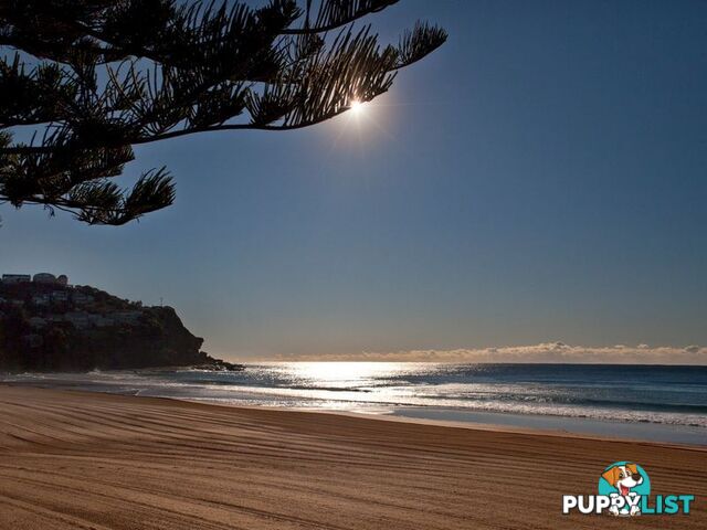 WHALE BEACH NSW 2107