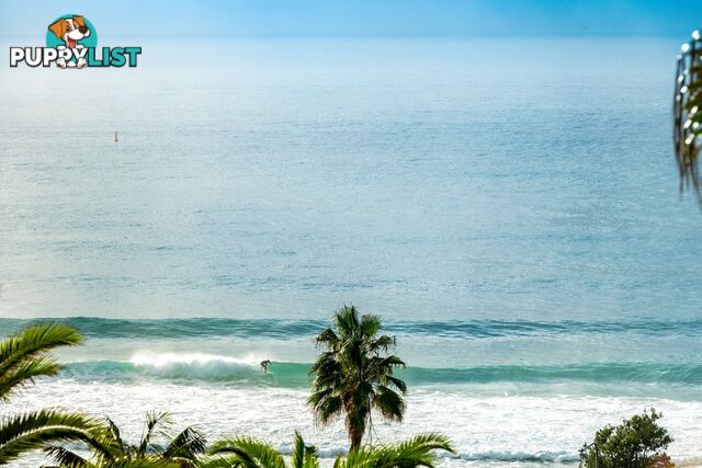 24 Palm Beach Road PALM BEACH NSW 2108