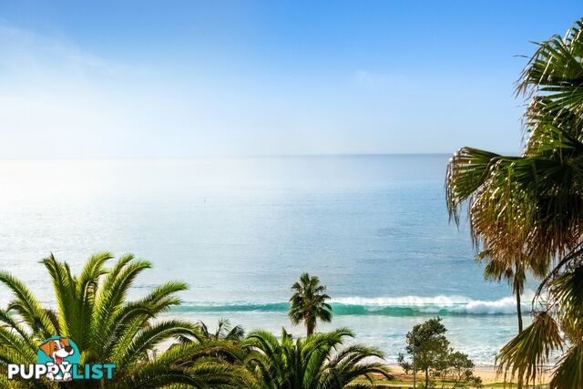 24 Palm Beach Road PALM BEACH NSW 2108