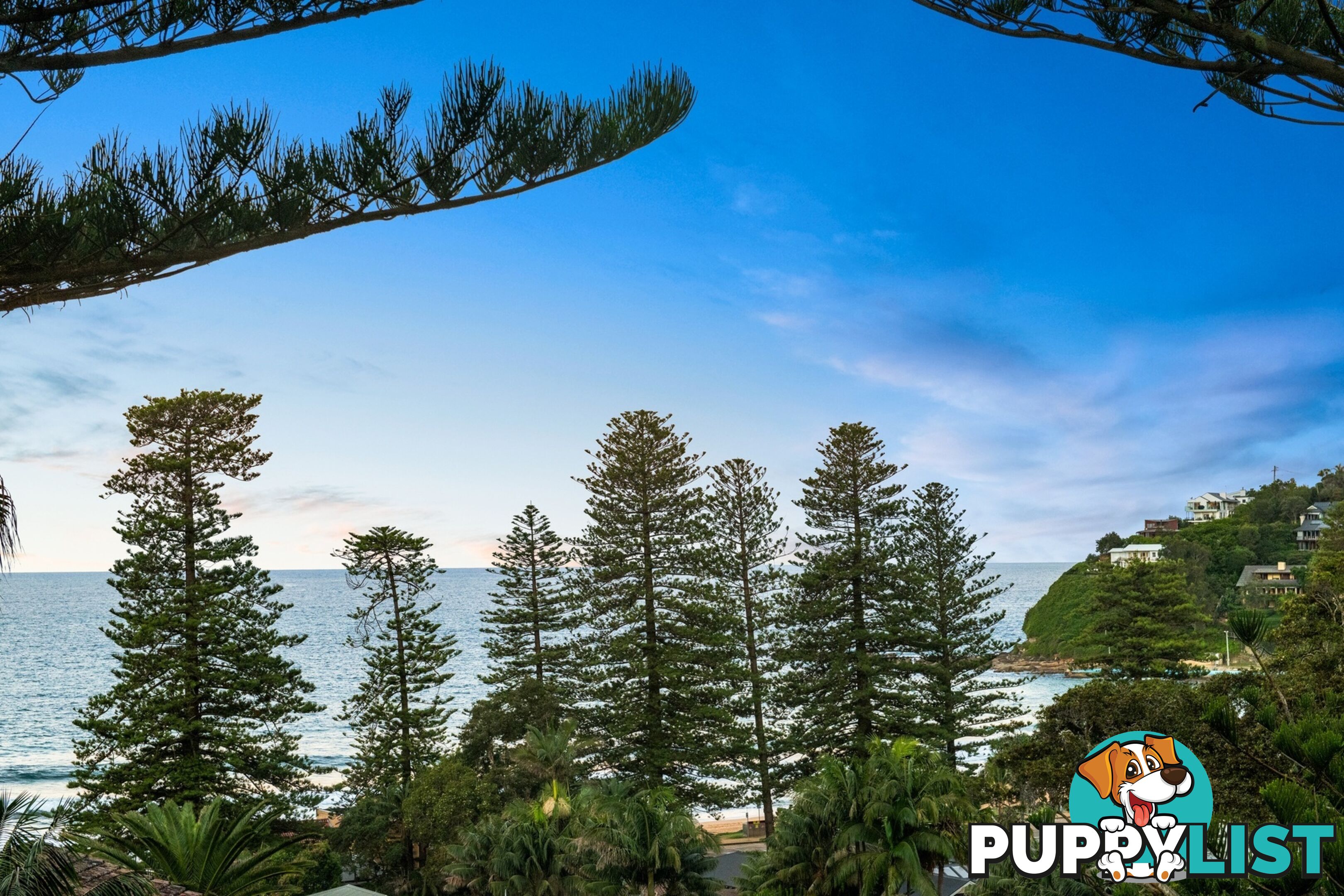 24 Palm Beach Road PALM BEACH NSW 2108
