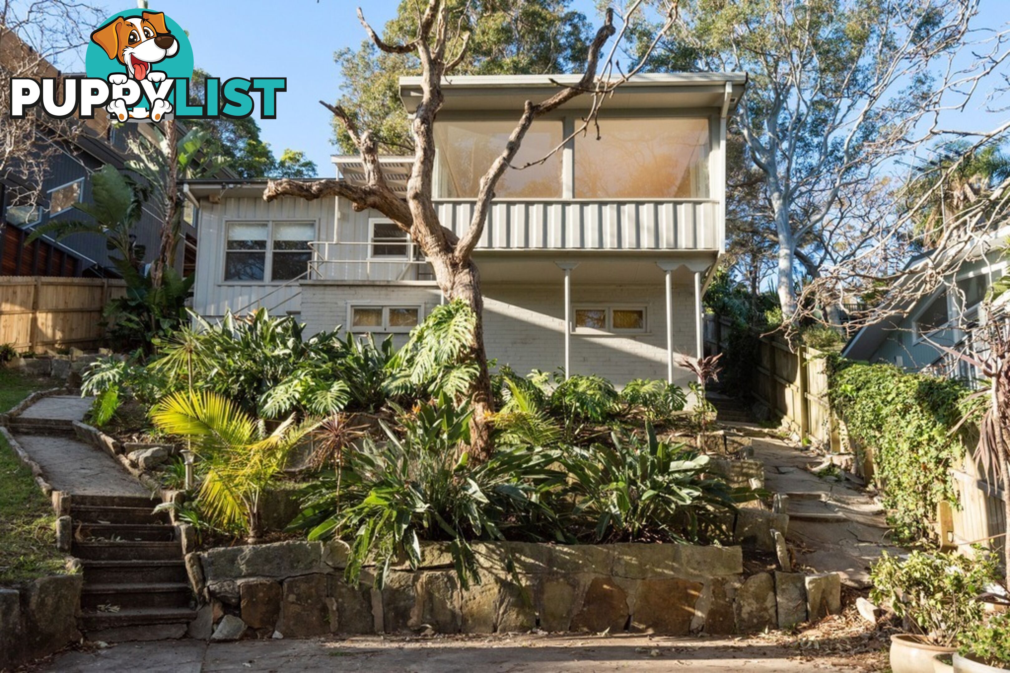 129 Whale Beach Road WHALE BEACH NSW 2107