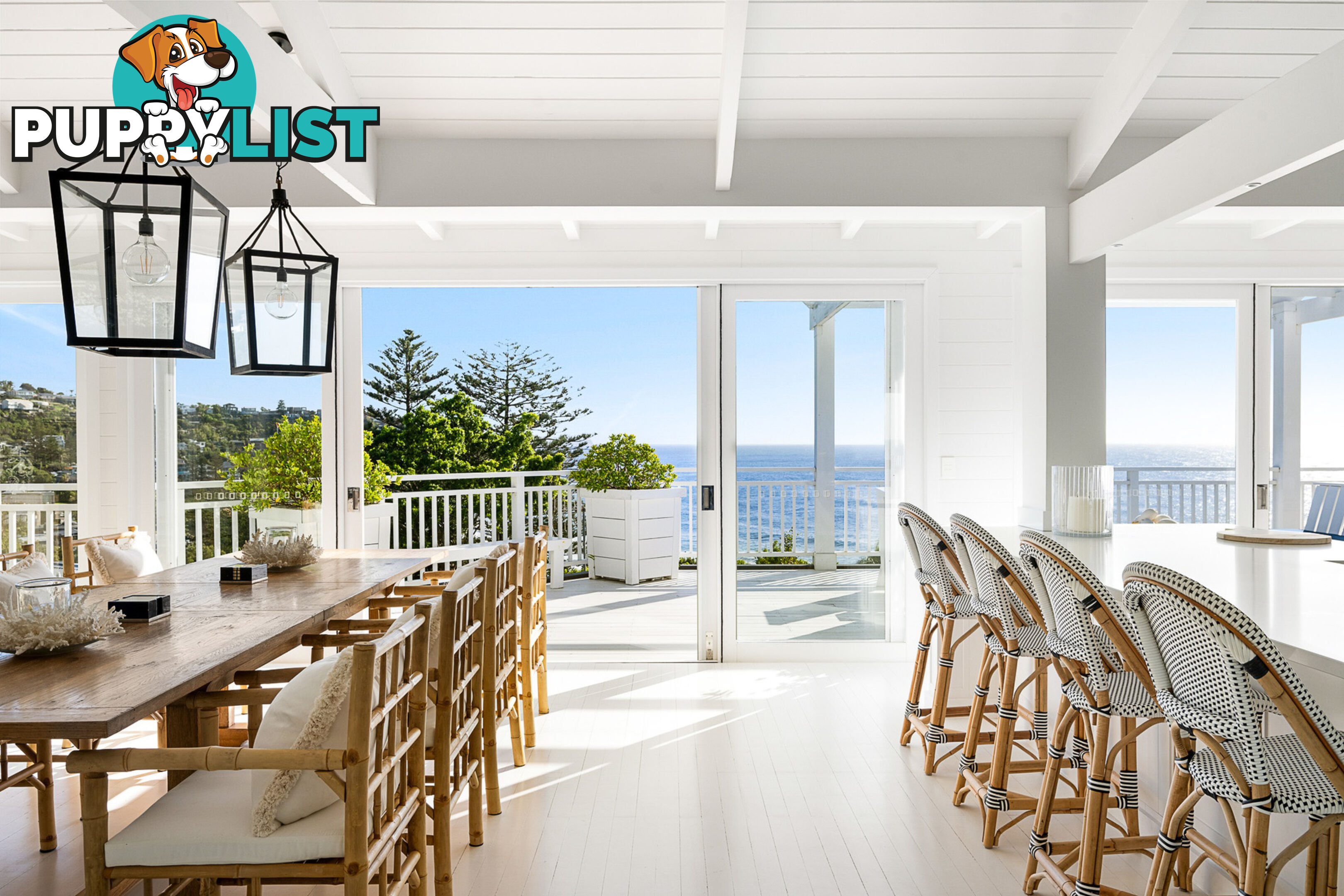 164 Whale Beach Road WHALE BEACH NSW 2107