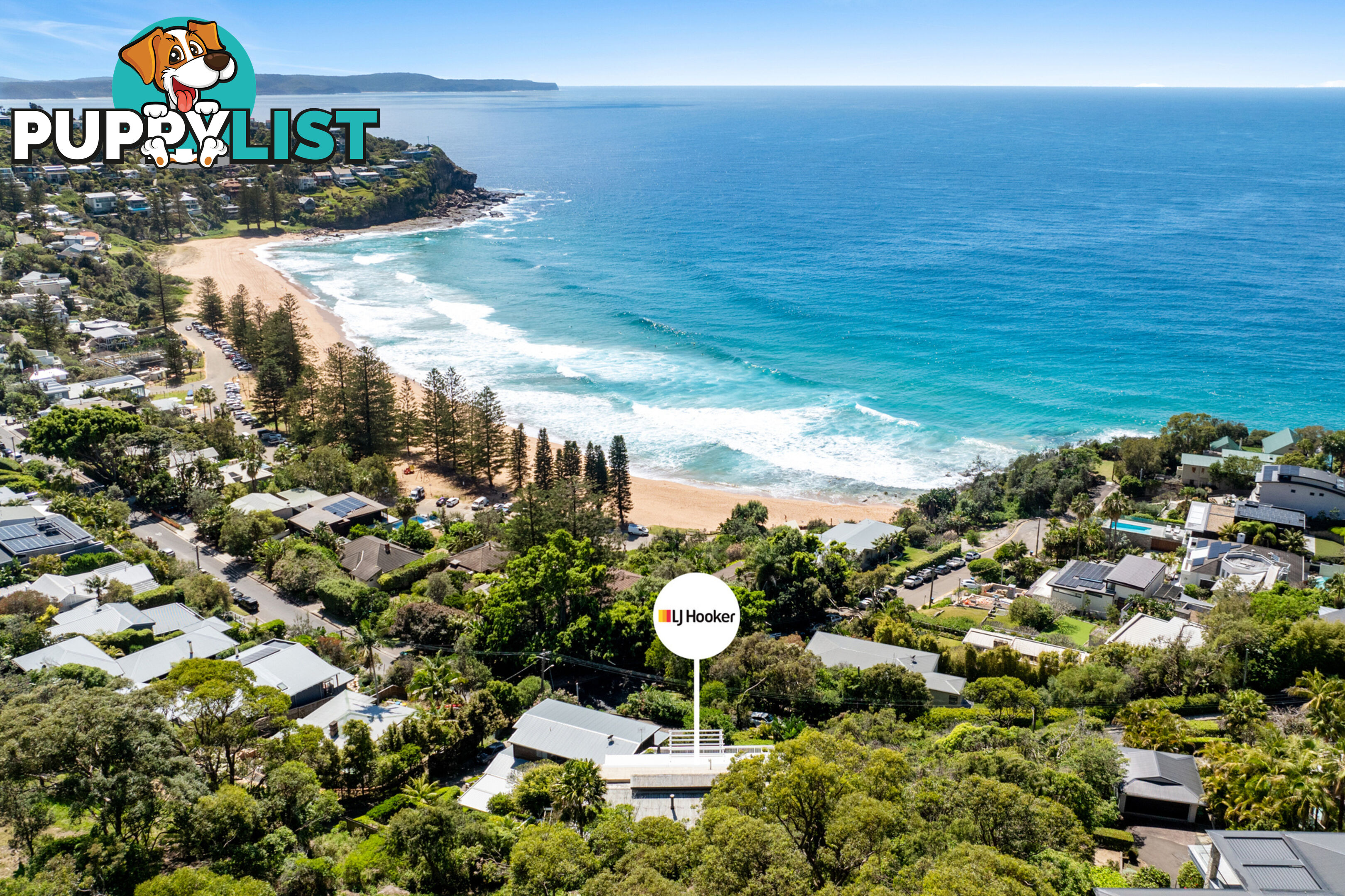 164 Whale Beach Road WHALE BEACH NSW 2107