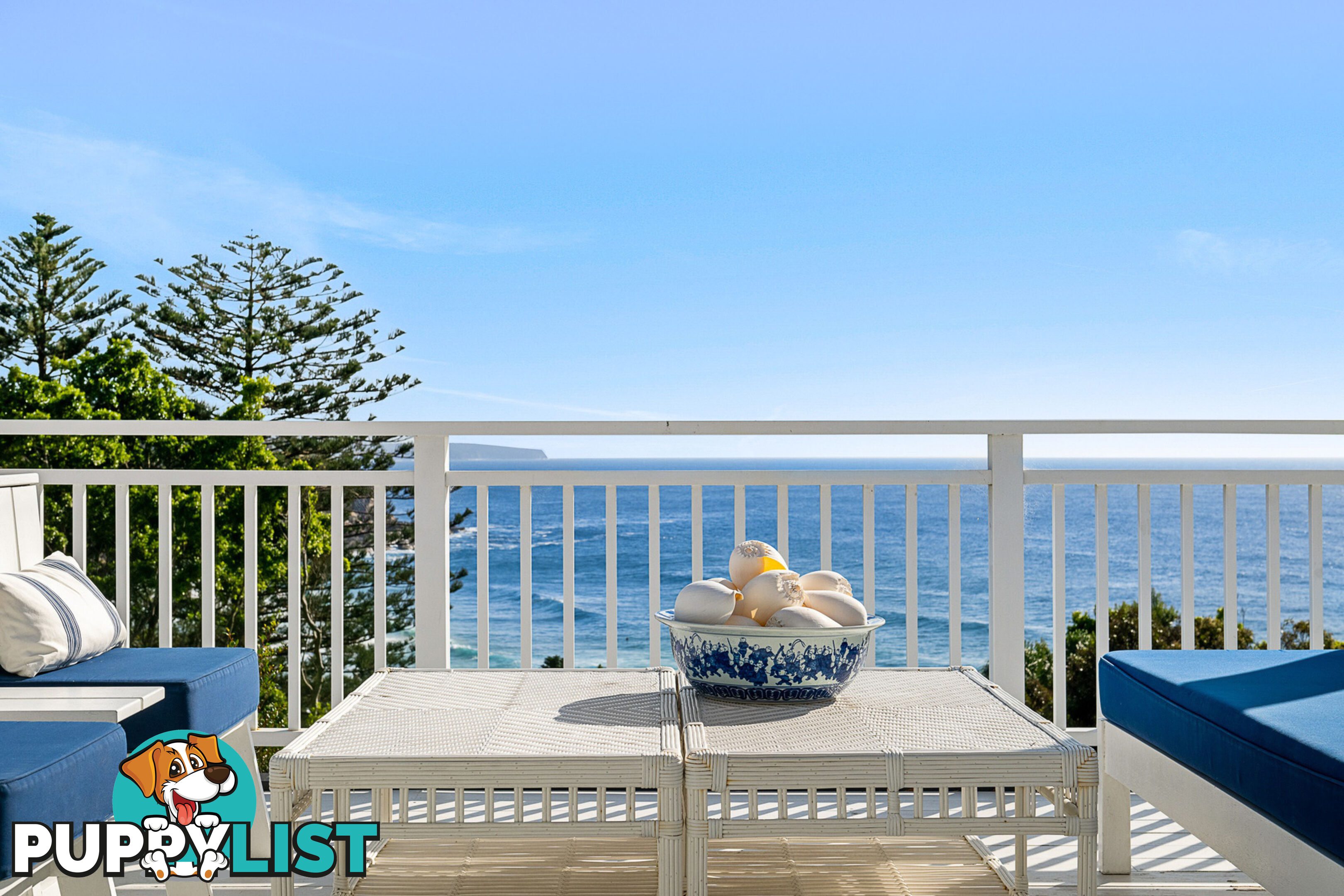 164 Whale Beach Road WHALE BEACH NSW 2107