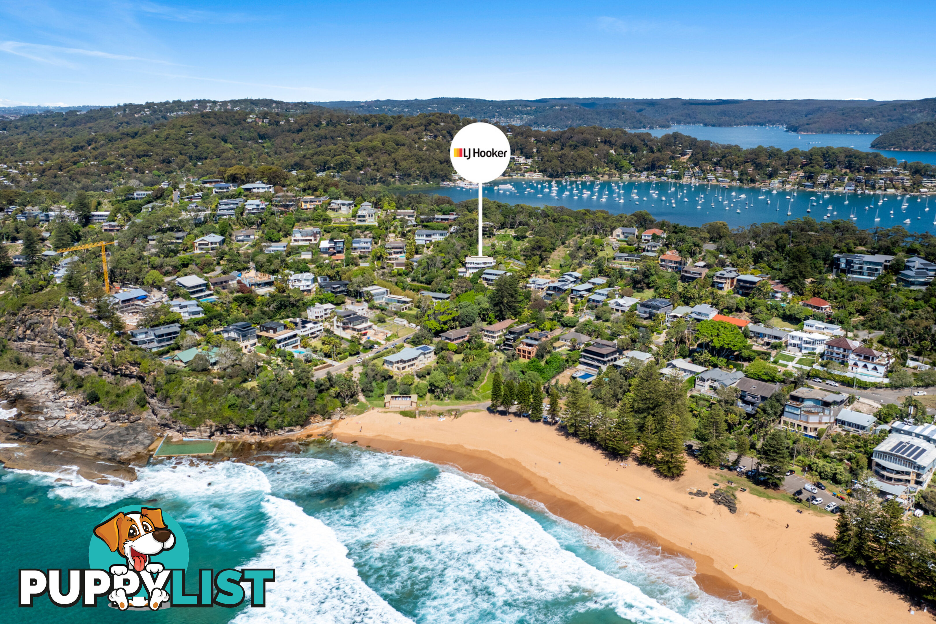 164 Whale Beach Road WHALE BEACH NSW 2107