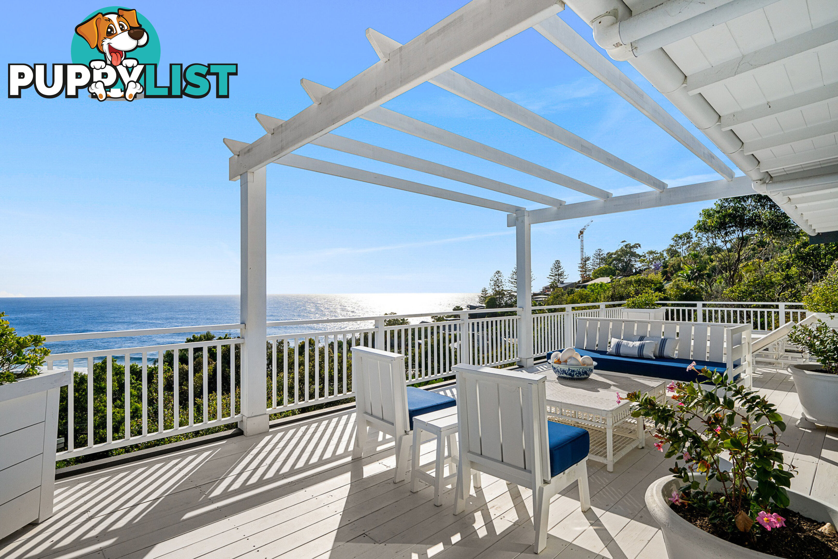 164 Whale Beach Road WHALE BEACH NSW 2107