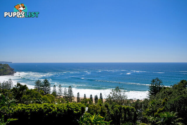 6C Surf Road WHALE BEACH NSW 2107