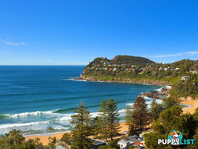 WHALE BEACH NSW 2107