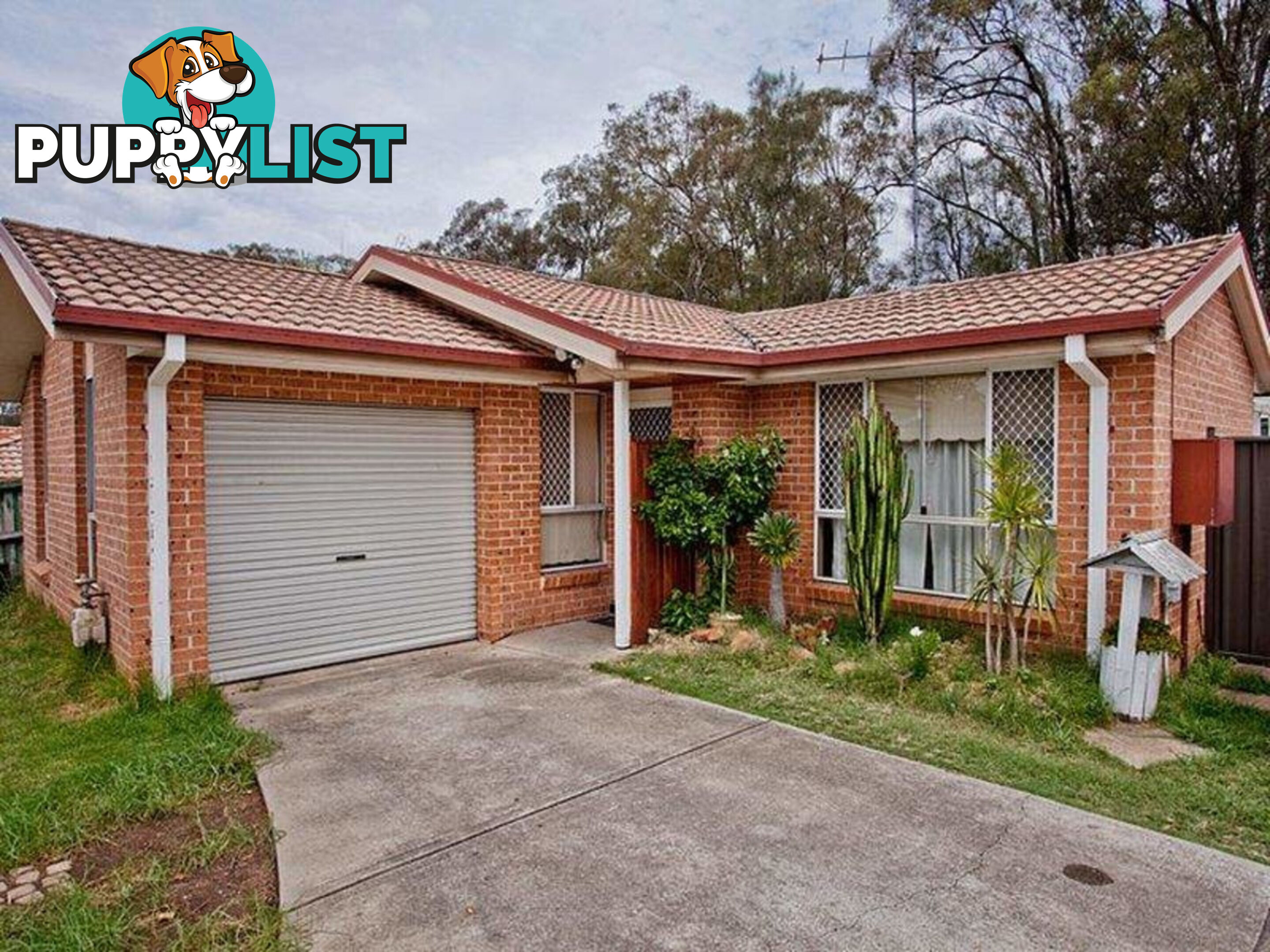 22 Celeste Court ROOTY HILL NSW 2766