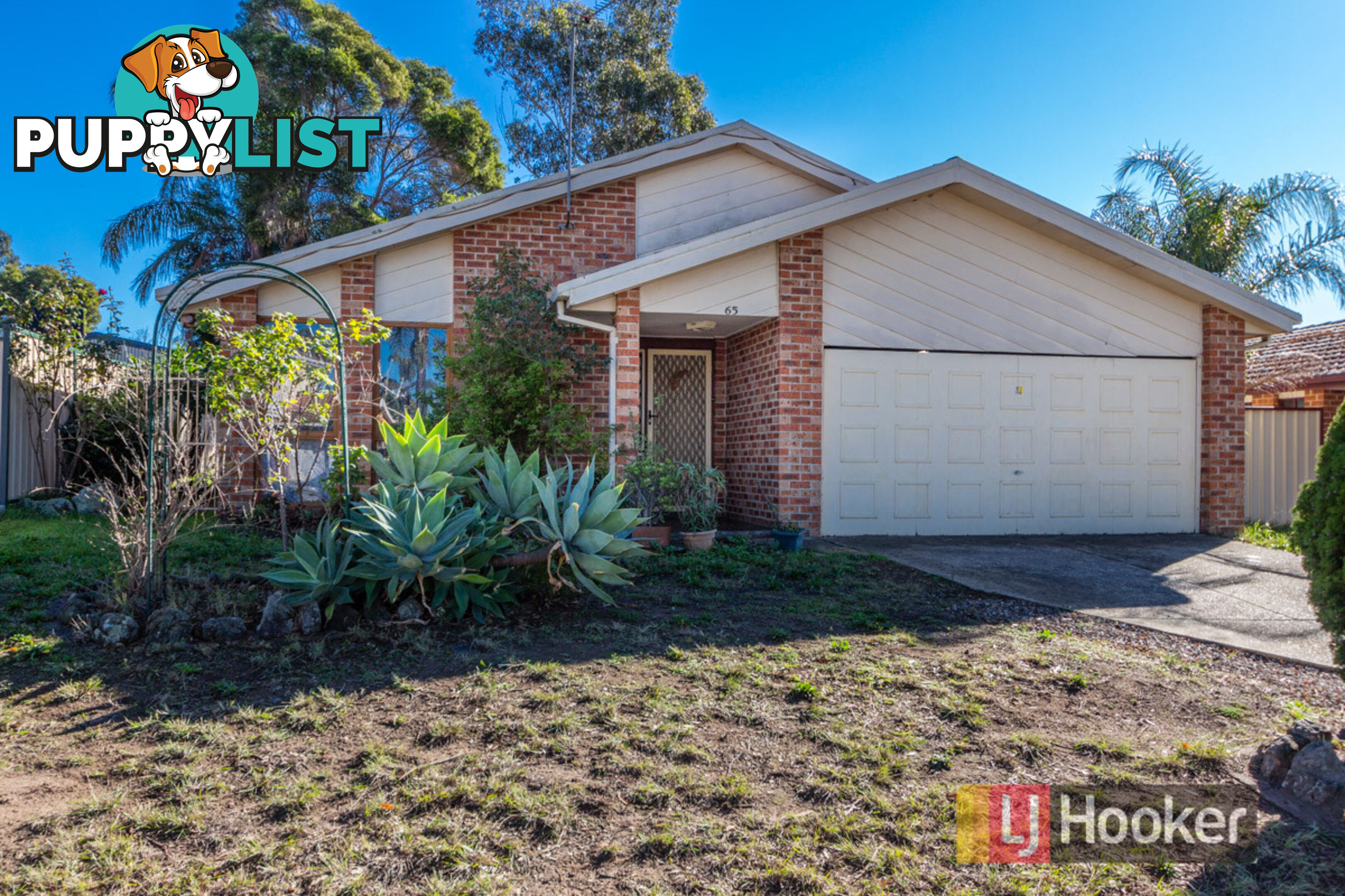 65 Buckwell Drive HASSALL GROVE NSW 2761