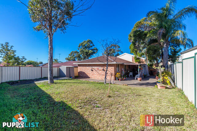 65 Buckwell Drive HASSALL GROVE NSW 2761