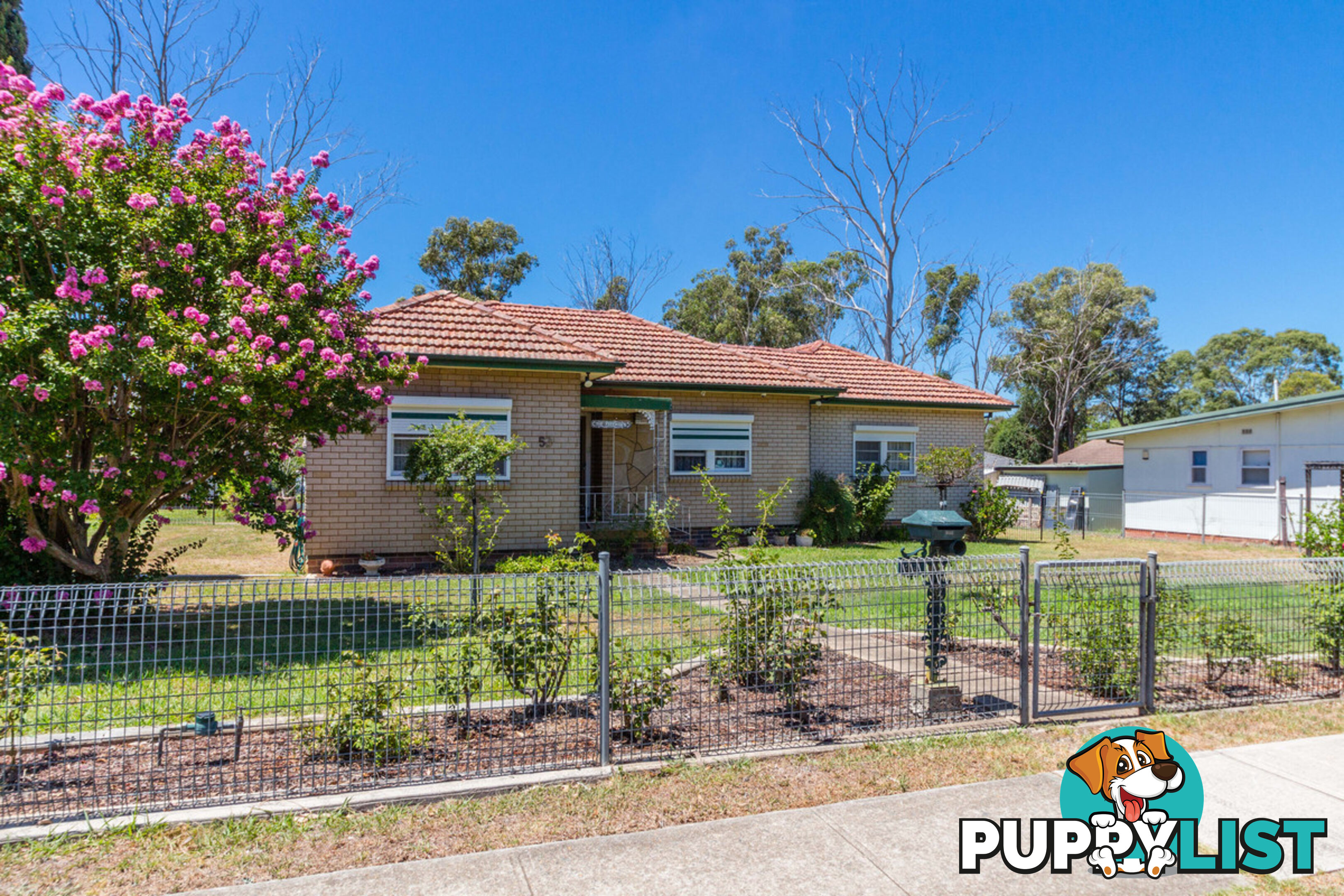 53 Derby Street ROOTY HILL NSW 2766