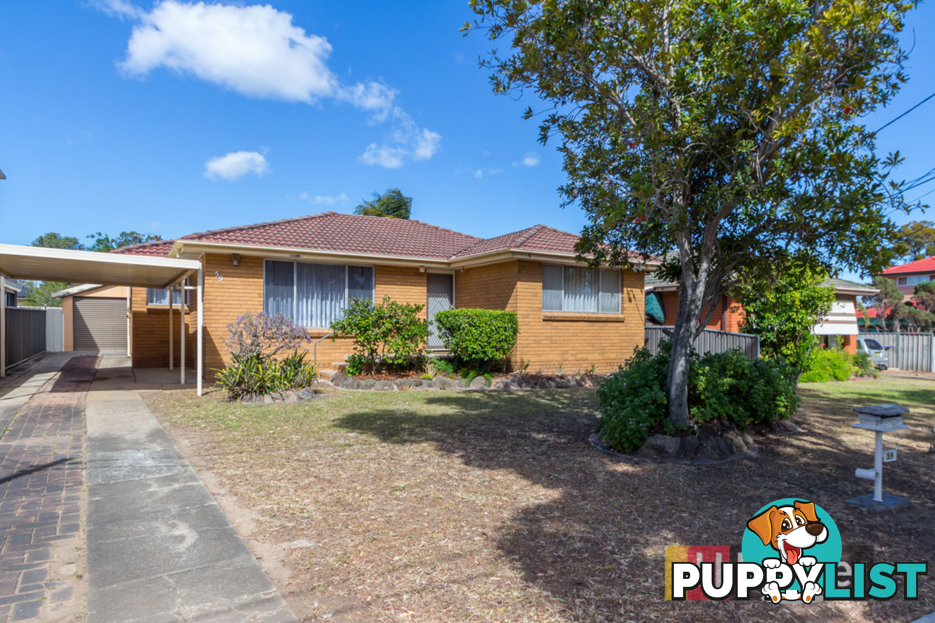 59 Wolseley Street ROOTY HILL NSW 2766