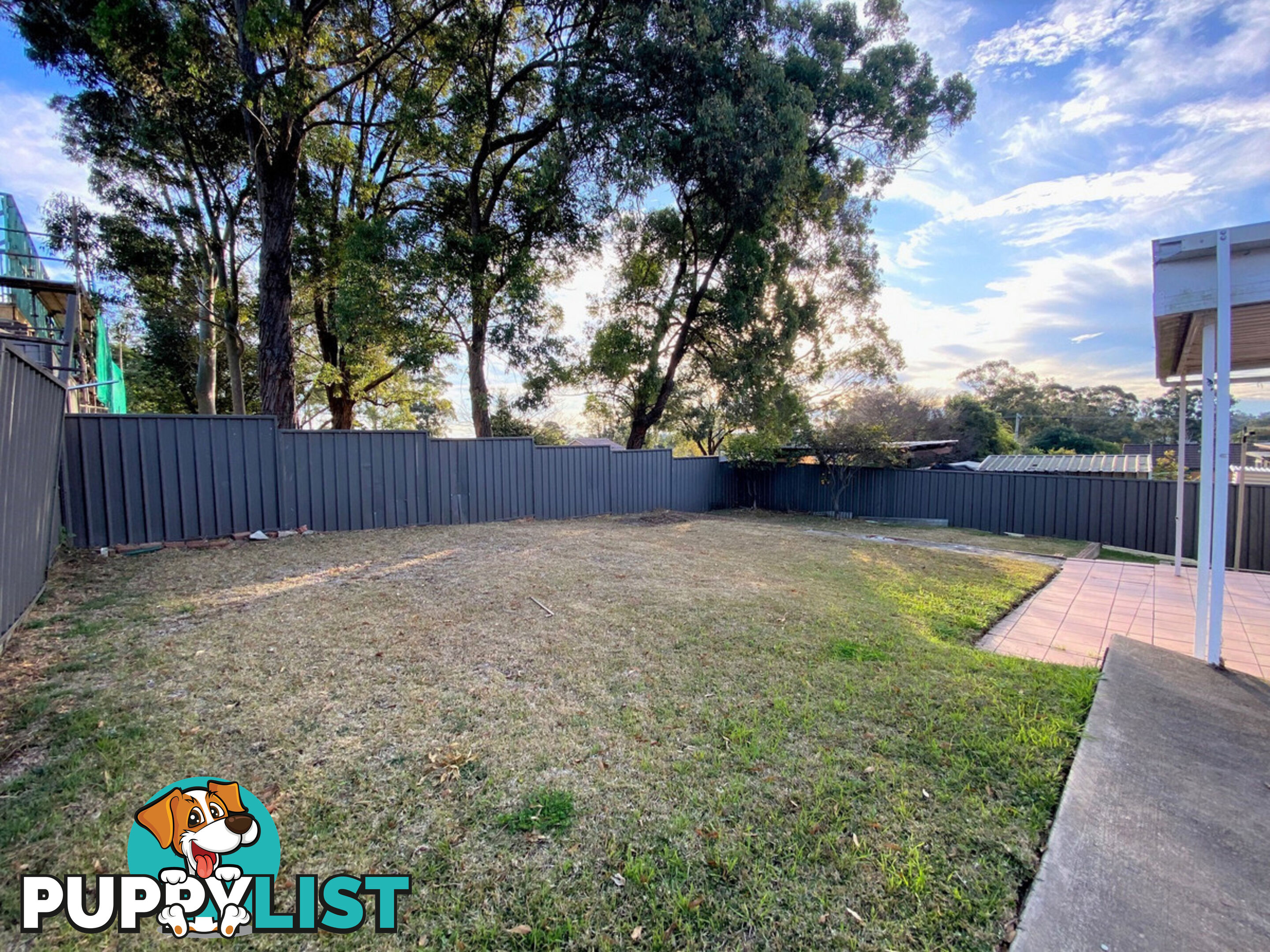 20 Waratah Street ROOTY HILL NSW 2766