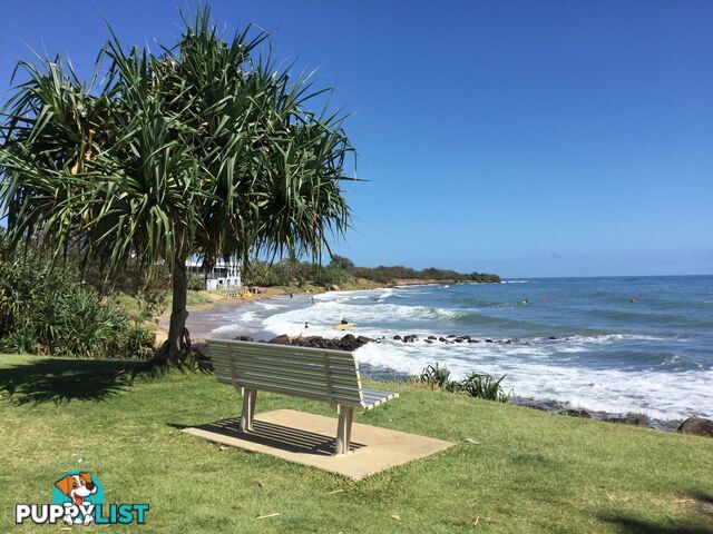 Lot 45 Malakula Street BARGARA QLD 4670