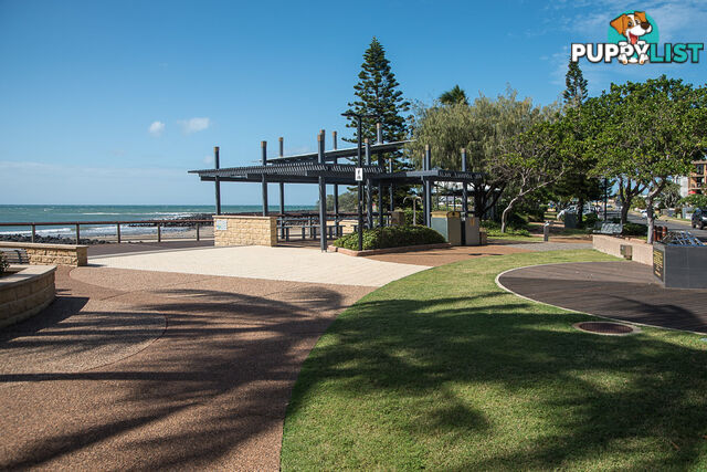 Lot 45 Malakula Street BARGARA QLD 4670