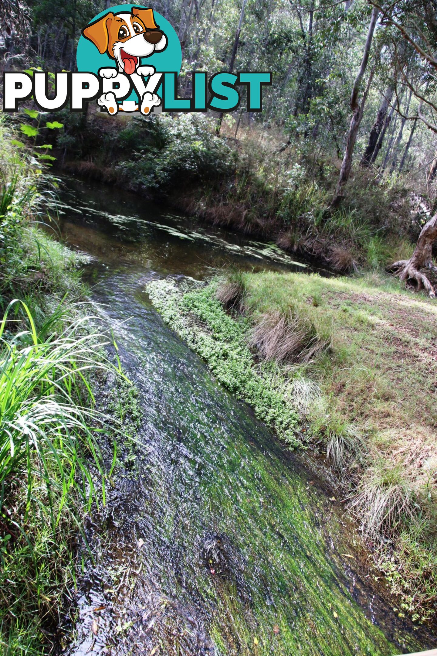 Lot 10 & 13 Park Avenue NORTH ISIS QLD 4660