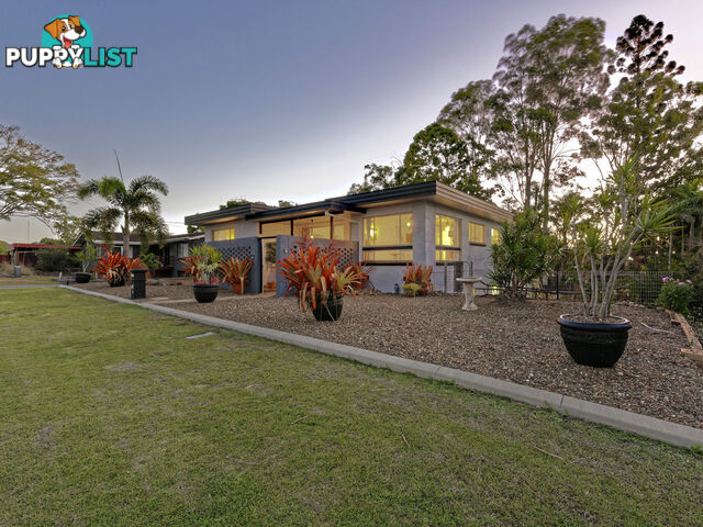 40 McNeilly Street SVENSSON HEIGHTS QLD 4670