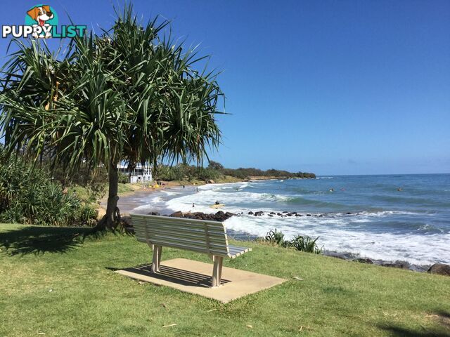 Lot 34 Plover Court BARGARA QLD 4670