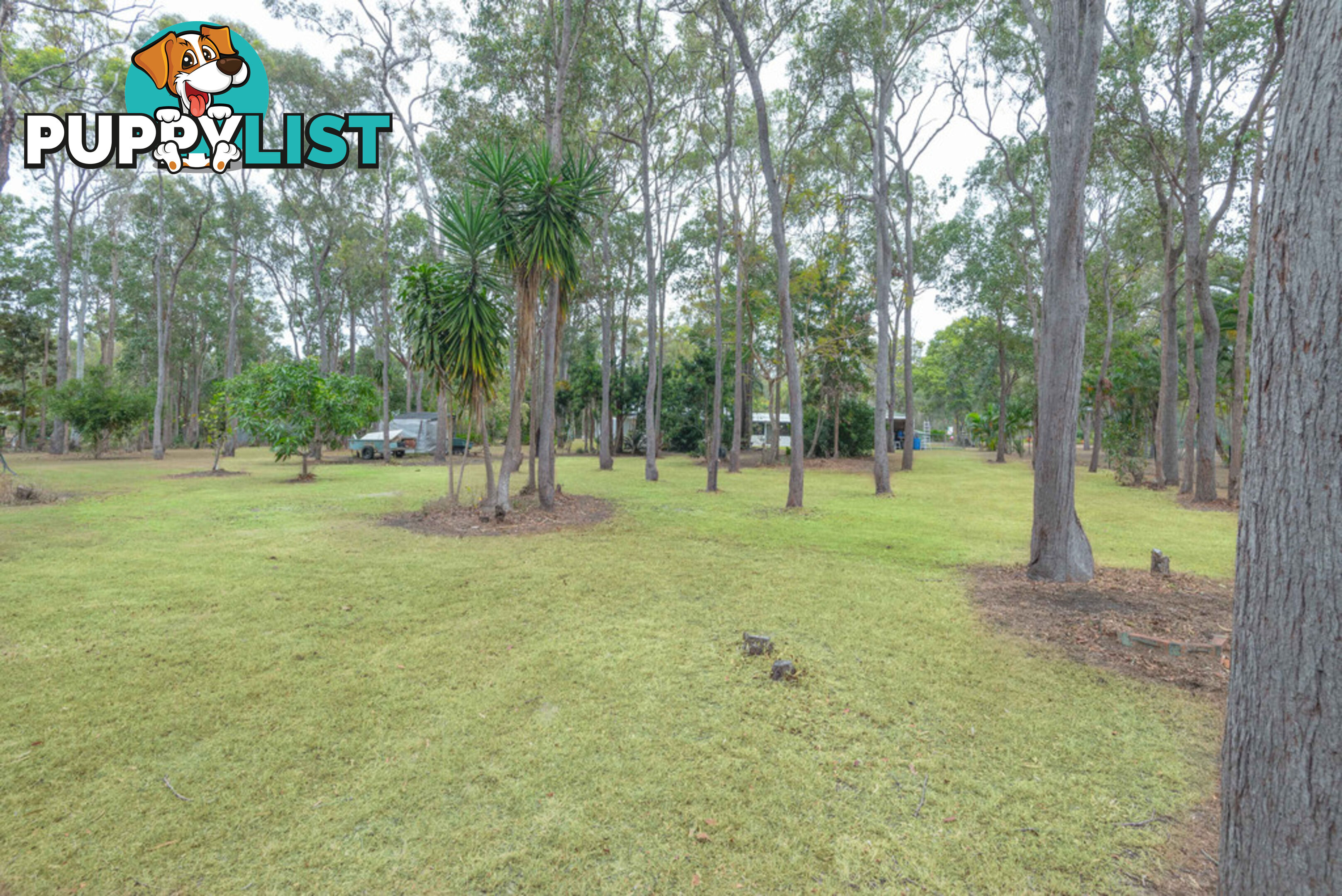 44 Pleasant Drive SHARON QLD 4670