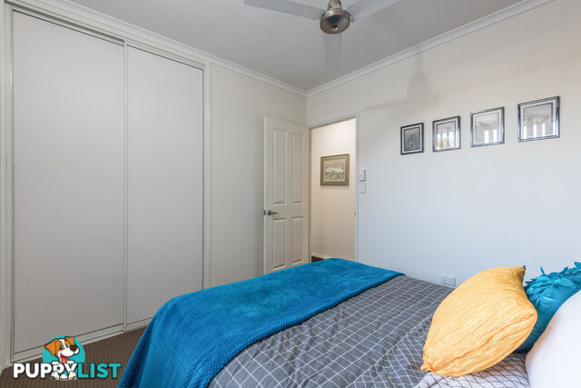 17 Westview Terrace AVOCA QLD 4670