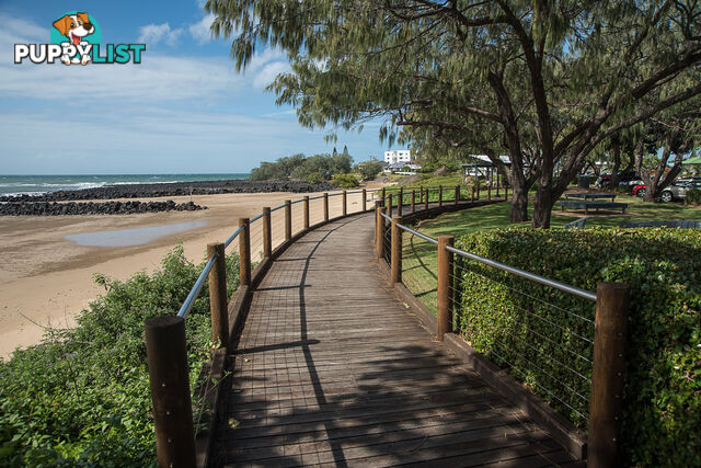 Lot 38 Stage 2 - Outlook Estate BARGARA QLD 4670