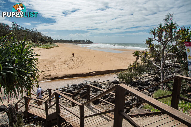 Lot 38 Stage 2 - Outlook Estate BARGARA QLD 4670