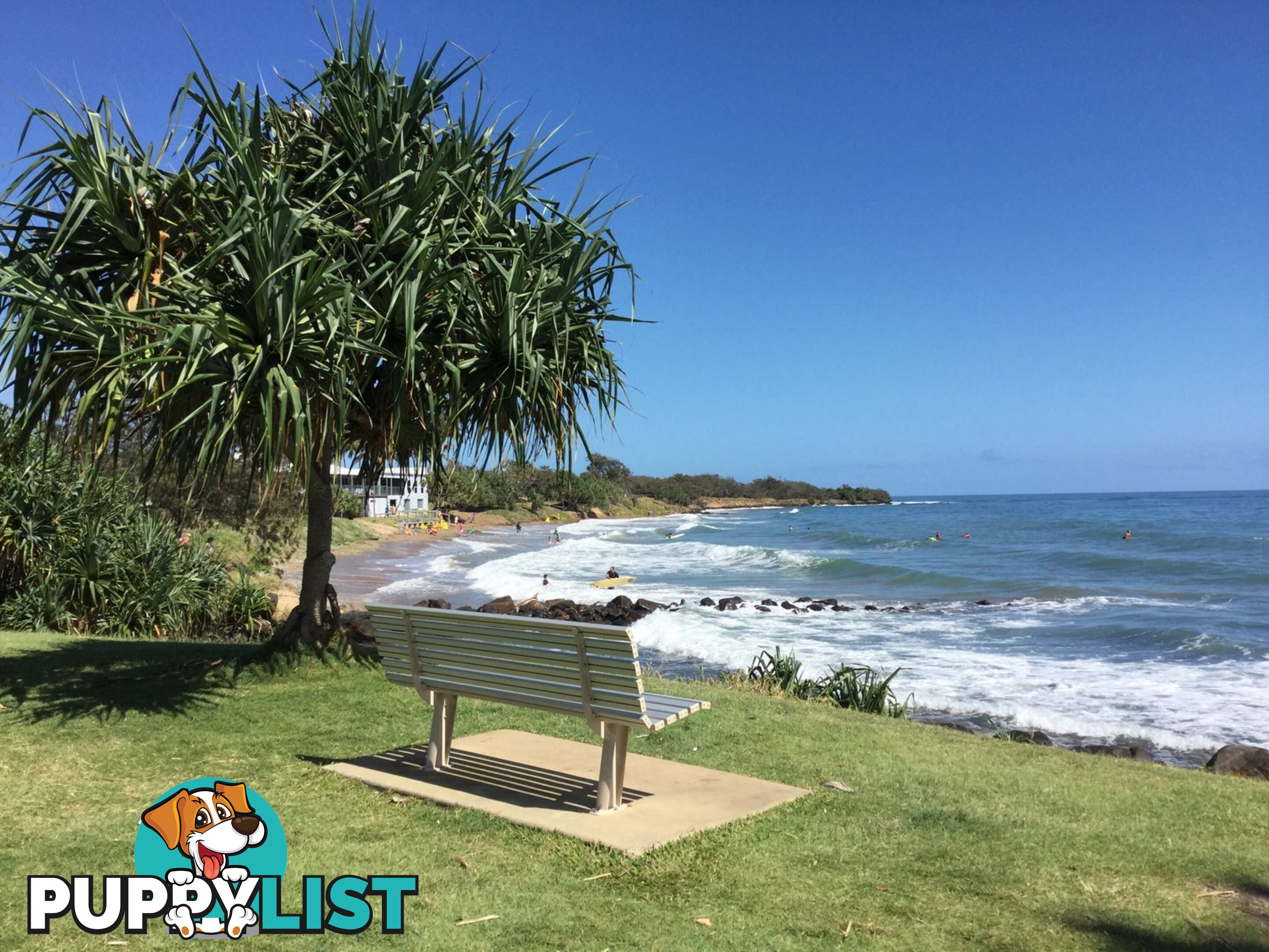 Lot 42 Malakula Street BARGARA QLD 4670