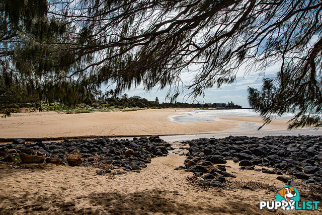 Lot 42 Malakula Street BARGARA QLD 4670