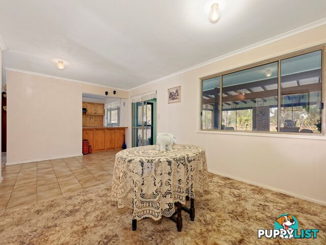 59 Grevillea Drive REDRIDGE QLD 4660