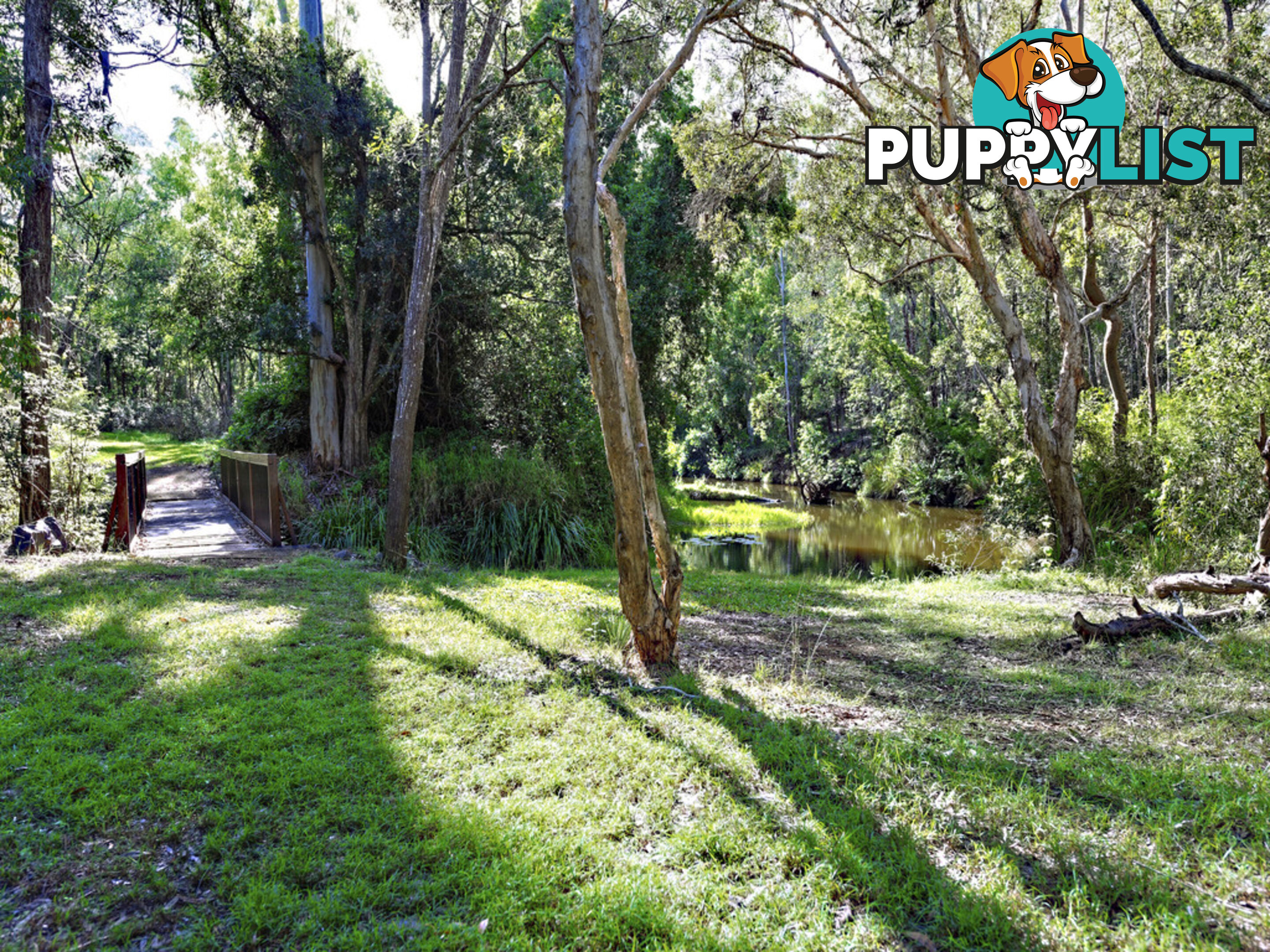 Lot 31 Windsong Avenue REDRIDGE QLD 4660