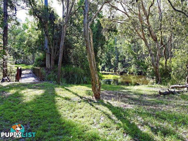 Lot 31 Windsong Avenue REDRIDGE QLD 4660